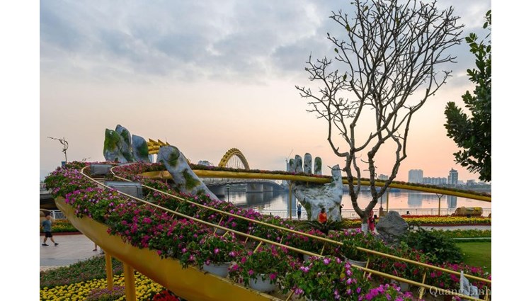 Trang Trí Hoa Và Điện Chiếu Sáng Đường Phố Đón Tết Tân Sửu 2021